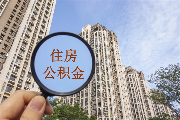 公积金怎么一次性全部提取-湖北公积金代办平台
